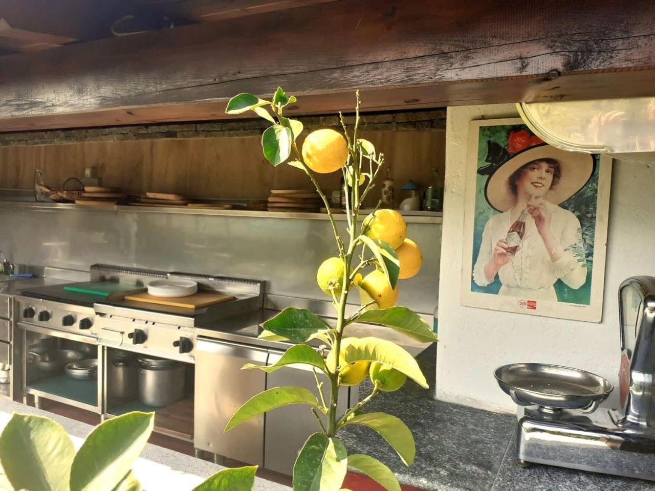 Appartamento Belvedere 杜比诺 外观 照片
